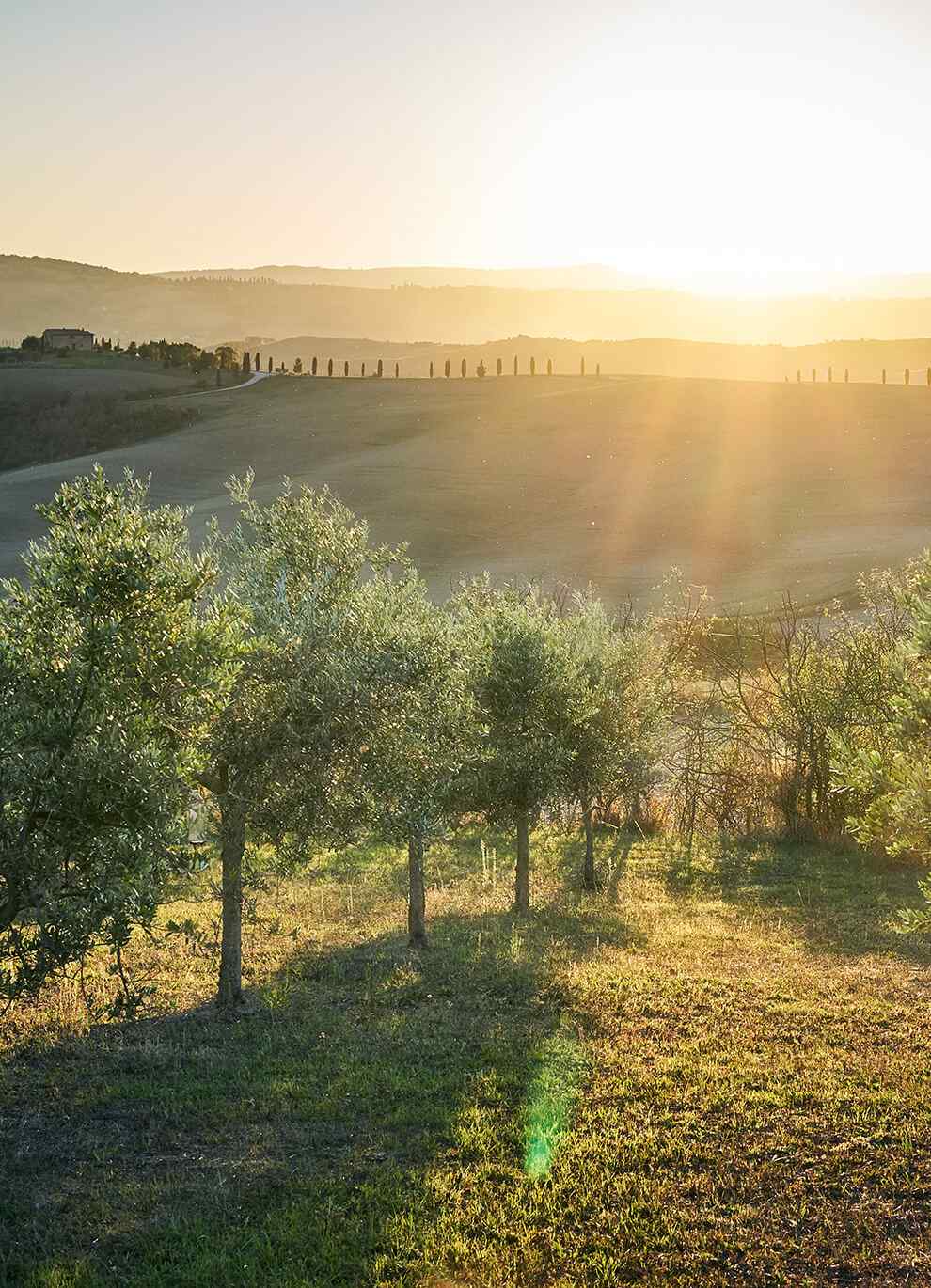 https://giannagiourouki.gr/wp-content/uploads/2020/10/home_01_image_09.jpg