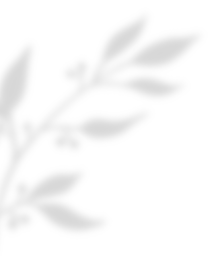 https://giannagiourouki.gr/wp-content/uploads/2020/11/shadow_leaves_02.png
